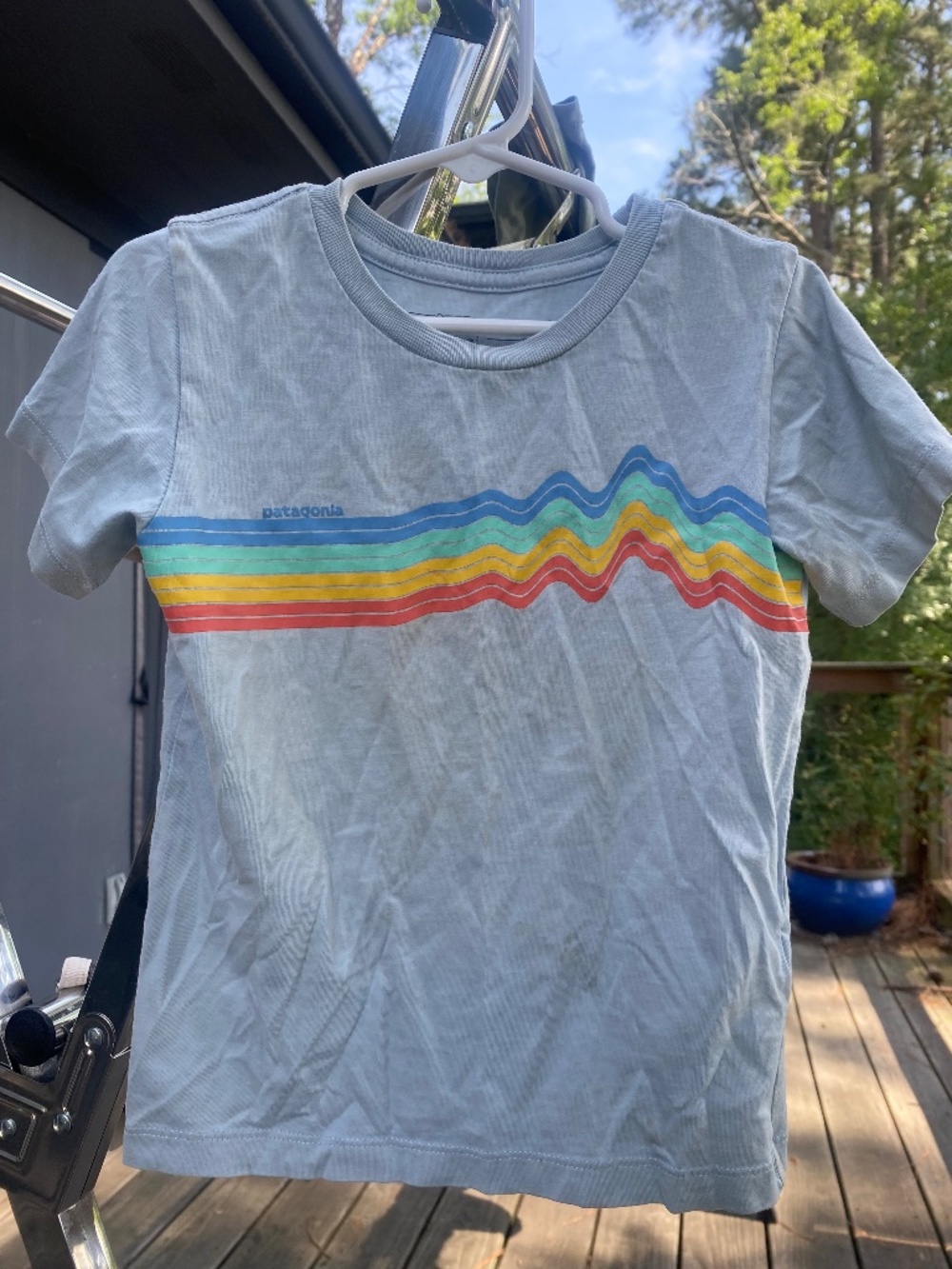 Patagonia Organic Cotton Tshirt 3T